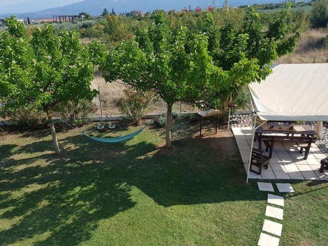 Cozy Villa Litochoro Exterior foto